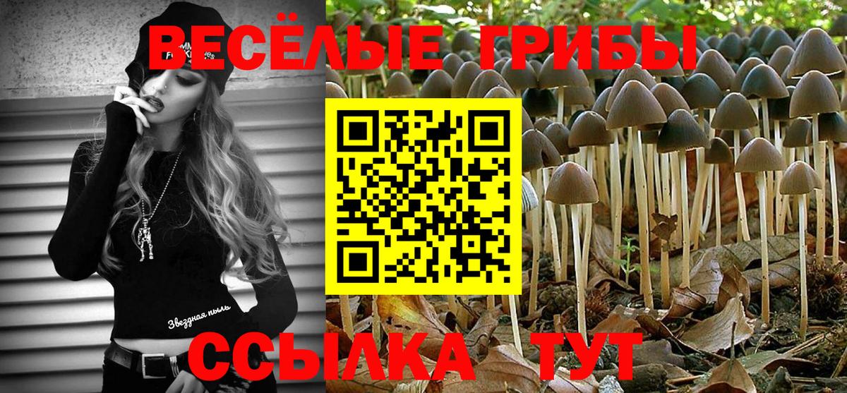 Галлюциногенные грибы Cubensis Светлоград